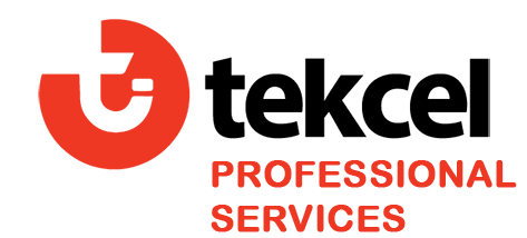 Tekcel-professional_services